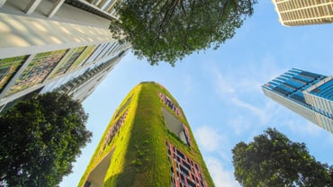 Earth Day and the power of measurable impact: How the IREM®&nbsp;CSP is driving sustainable property performance