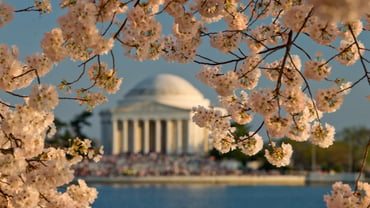 The impact of IREM’s Advocacy Impact Day