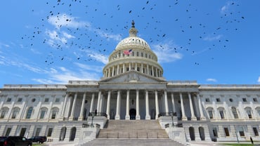 Information on immigration Verification and the Housing Choice Voucher program