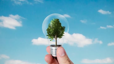 Improving Energy Efficiency through Benchmarking