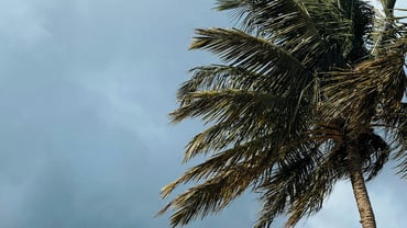 Managing a natural disaster or emergency