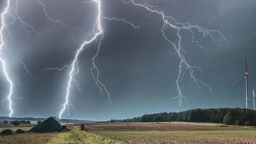 Managers Face off Against Nature’s Worst
