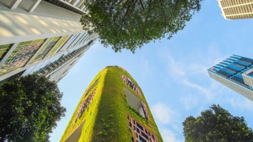Five Years of Sustainability Growth, Thanks to Yardi Grant