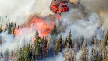 How to deal with crises