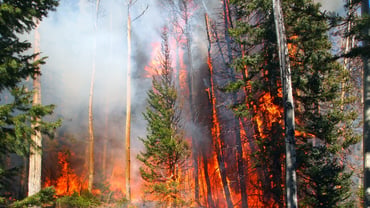 Fire and flood protection demands full diligence for property managers