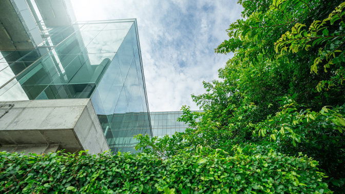 Glass building towering over trees on clear day