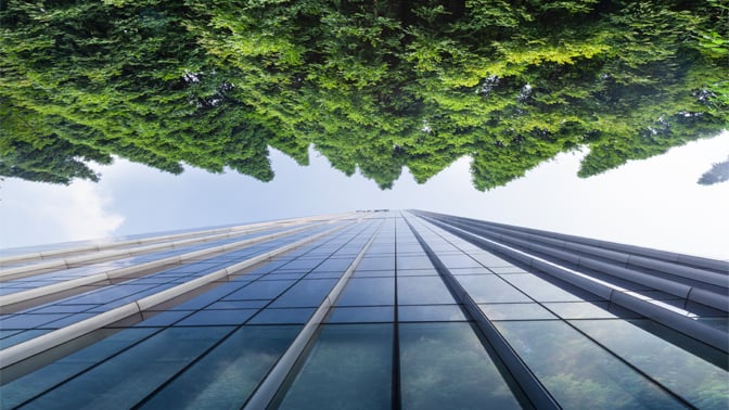 Upwards angle of trees and building across from each other